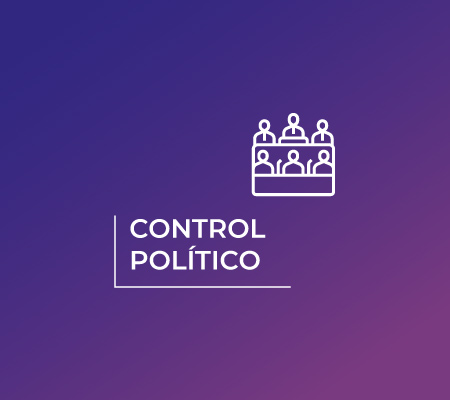 MiniBanner control politico